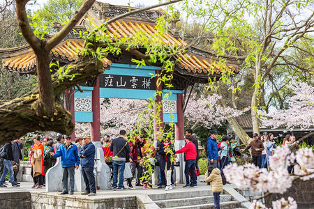 欧皇开户：《田间的少年2》毛尖市集火热开市，茗气家族开启茶旅新征程 - 中国娱乐